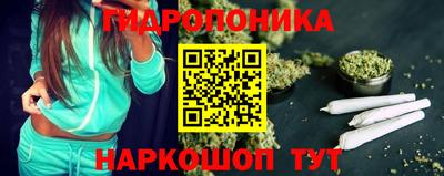 стафф Лесосибирск