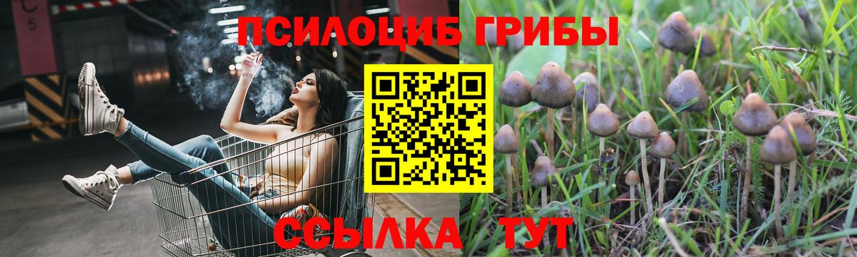 Галлюциногенные грибы Psilocybine cubensis  Вход с VPN  Сокол  Галлюциногенные грибы Psilocybine cubensis 